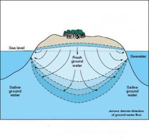 Cozumel Formation Fresh Water Table