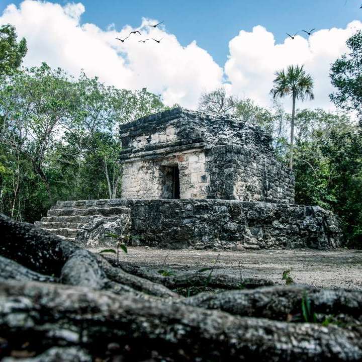 Cozumel Parks San Gervasio Ruins