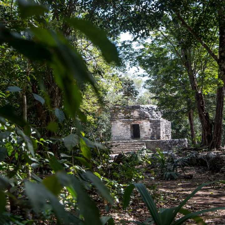 Cozumel Parks San Gervasio Ruins