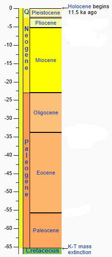 Cozumel Formation Geologic Time Scale