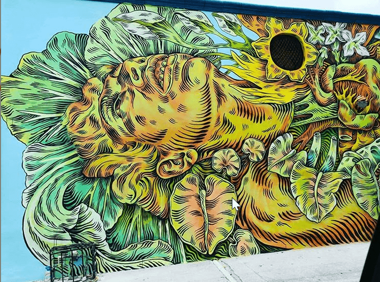 Cozumel My Cozumel 2019 Sea Wall 6