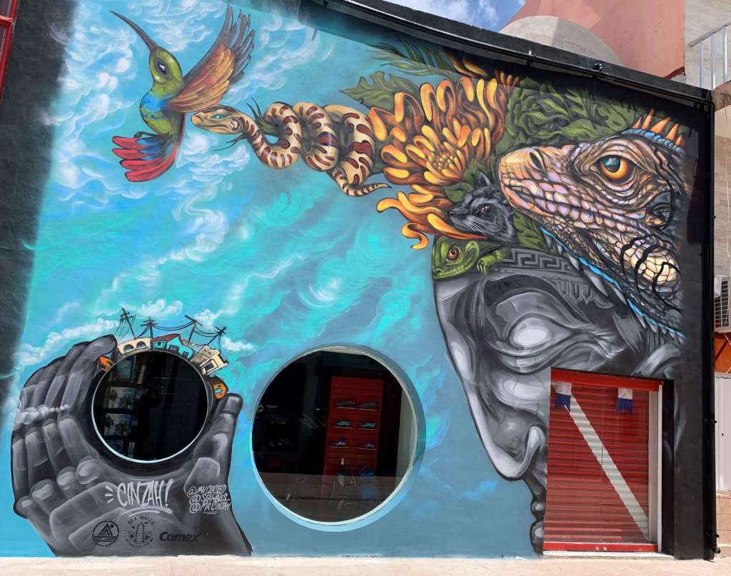 Cozumel My Cozumel 2019 Sea Wall 4