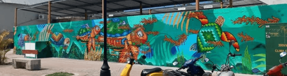 Cozumel My Cozumel 2019 Sea Wall 5