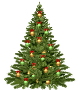 Cozumel My Cozumel holiday tree