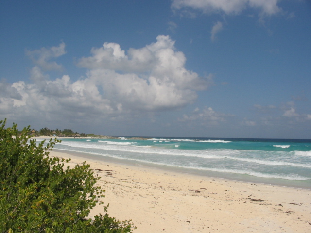 Cozumel My Cozumel Beach