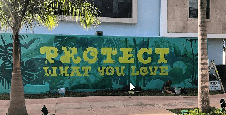 Cozumel My Cozumel 2019 Sea Wall 2